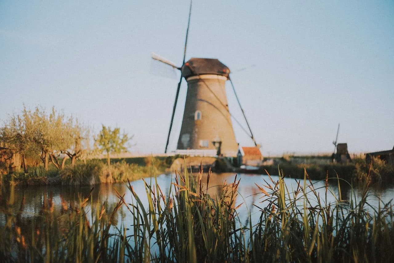 houses, windmill, park, netherland, landmark, travel, outdoor, lake, water, nature, grass, tree, plant