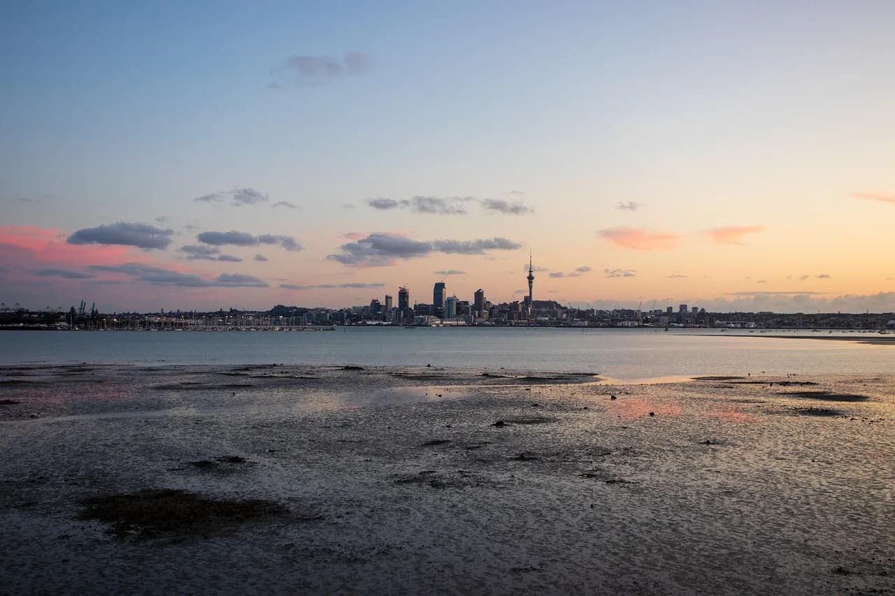 auckland, skyline, sunset, new zealand, city, tower, nature, harbour, architecture, skyscrapers, sea, port, urban, metropolis, downtown, buildings, landmark