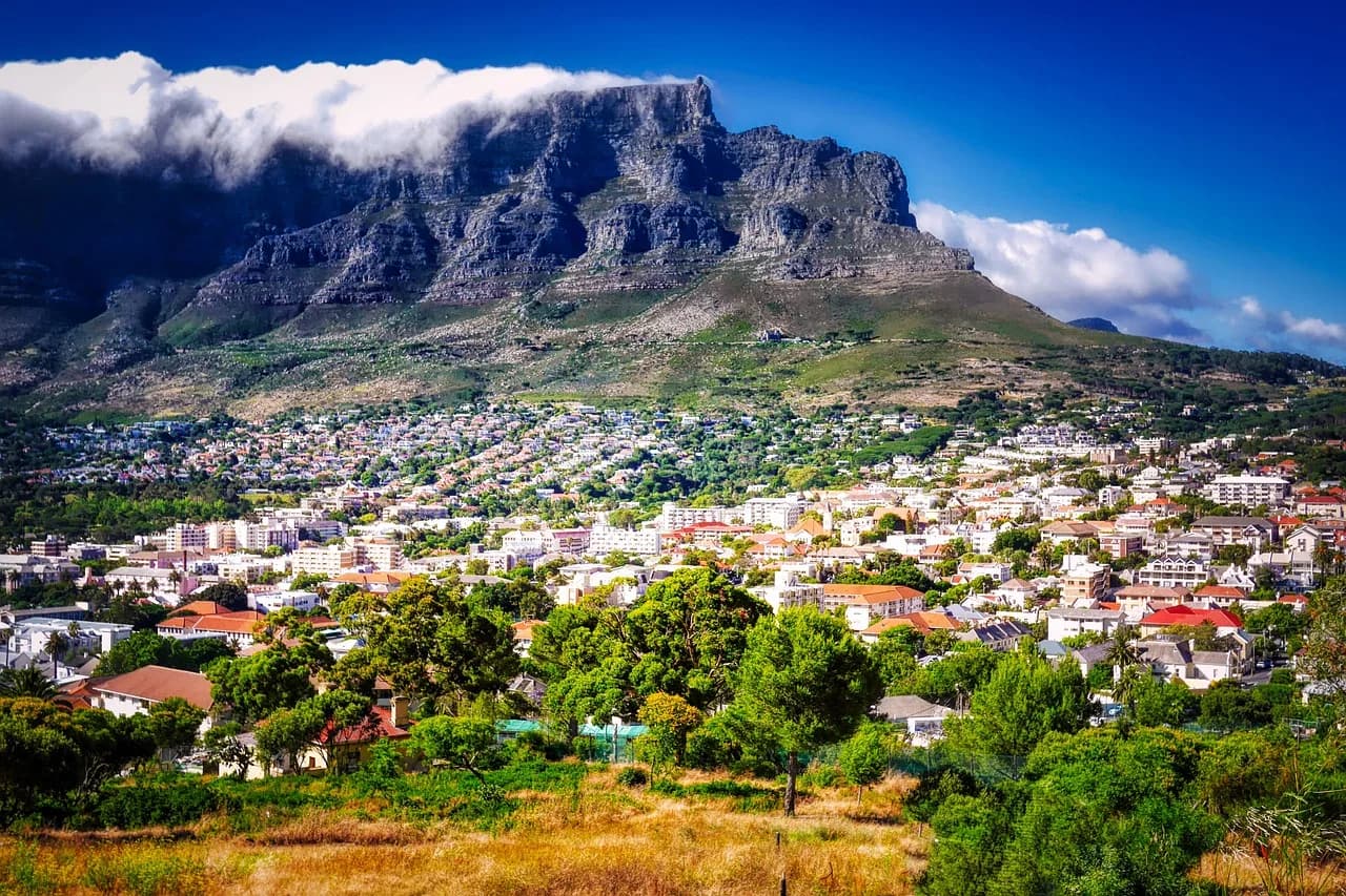 table mountain, city, panorama, mountain, clouds, buildings, houses, cityscape, urban, nature, city view, trees, mood, tourist attraction, landmark, cape town, south africa, africa